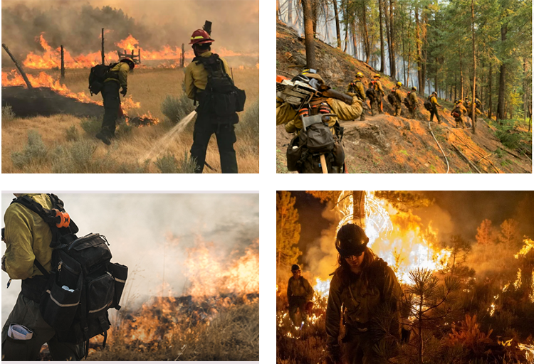 Extintor de incendios forestales18