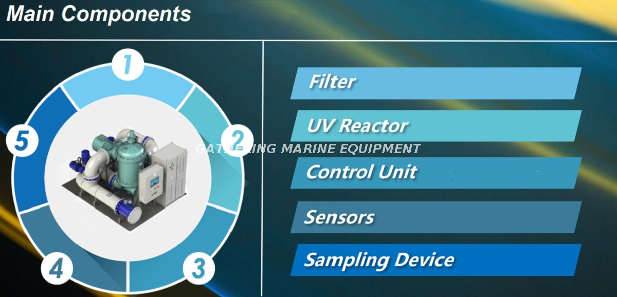 Componentes principales de BWTS