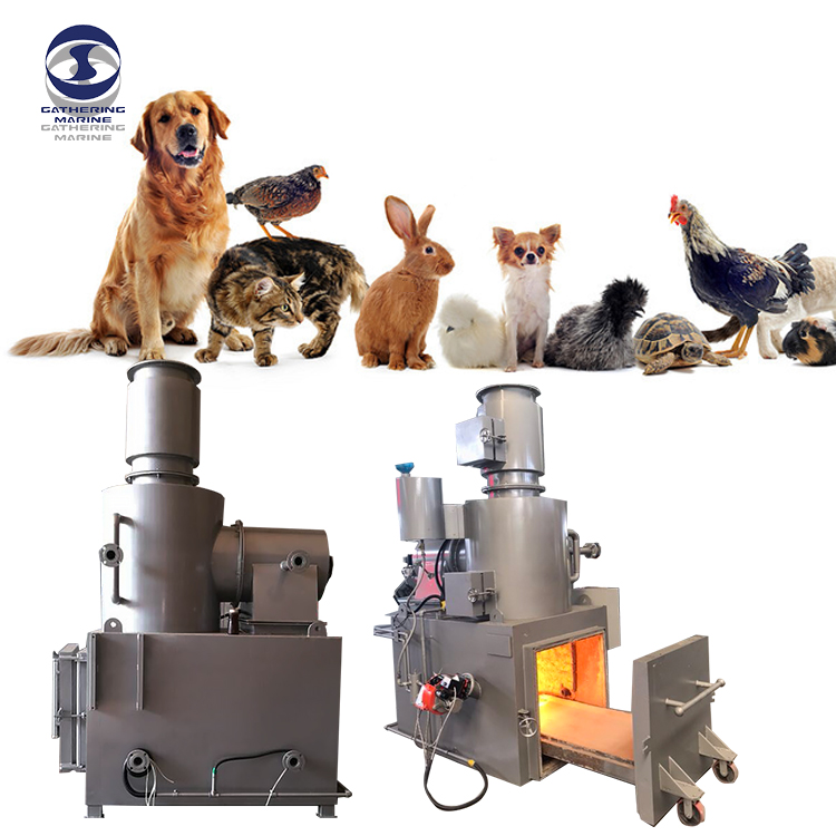 La necesidad de incinerar cadáveres de aves de corral y mascotas en comparación con el entierro